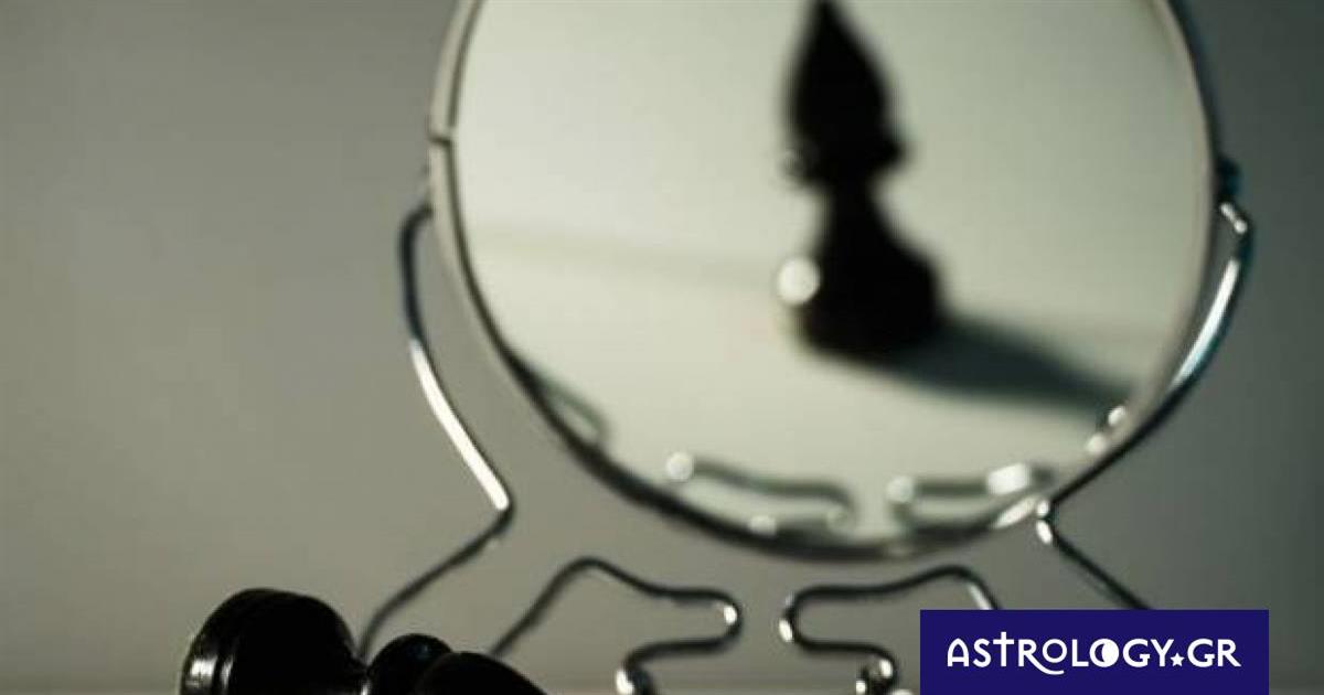 Αυτά τα ζώδια αρνούνται να δεχτούν ότι έχασαν μια μάχη