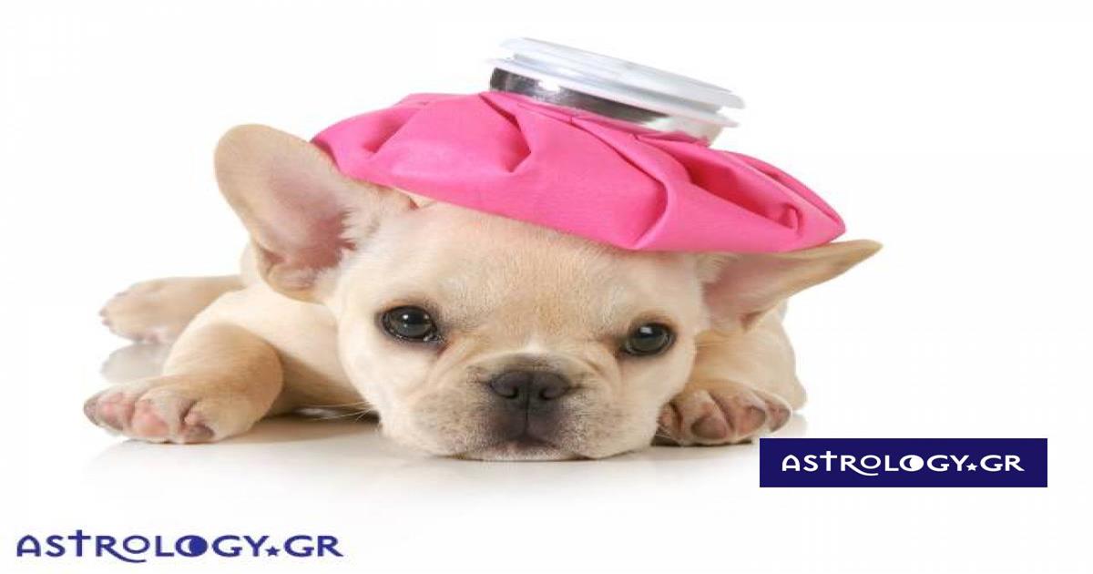 Ζώδια Σήμερα 07/02: Πλήρης αποσυντονισμός