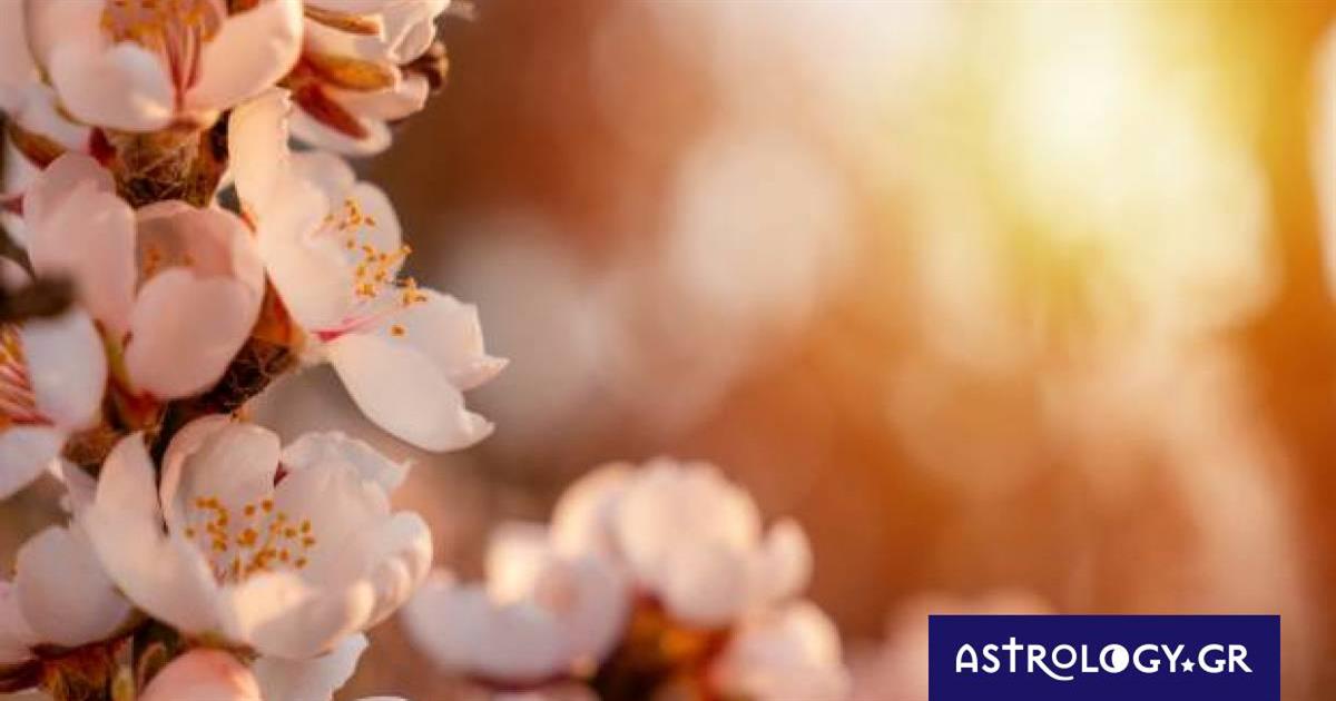 Ζώδια Σήμερα 08/02: Ανανεώσου