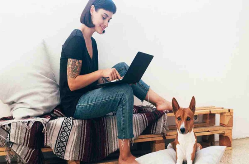 Τα ζώδια που δεν μπορείς να συμβιώσεις στο ίδιο σπίτι