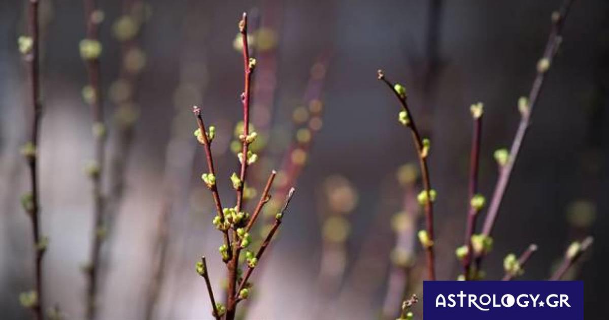 Διάβασε ΔΩΡΕΑΝ την προσωπική σου πρόβλεψη, για σήμερα 24/03/2023