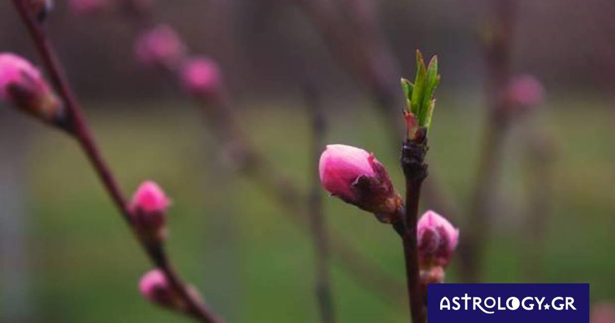 Διάβασε ΔΩΡΕΑΝ την προσωπική σου πρόβλεψη, για σήμερα 28/03/2023