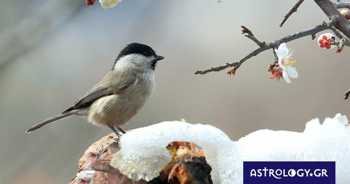 Διάβασε ΔΩΡΕΑΝ την προσωπική σου πρόβλεψη, για σήμερα 01/03/2023