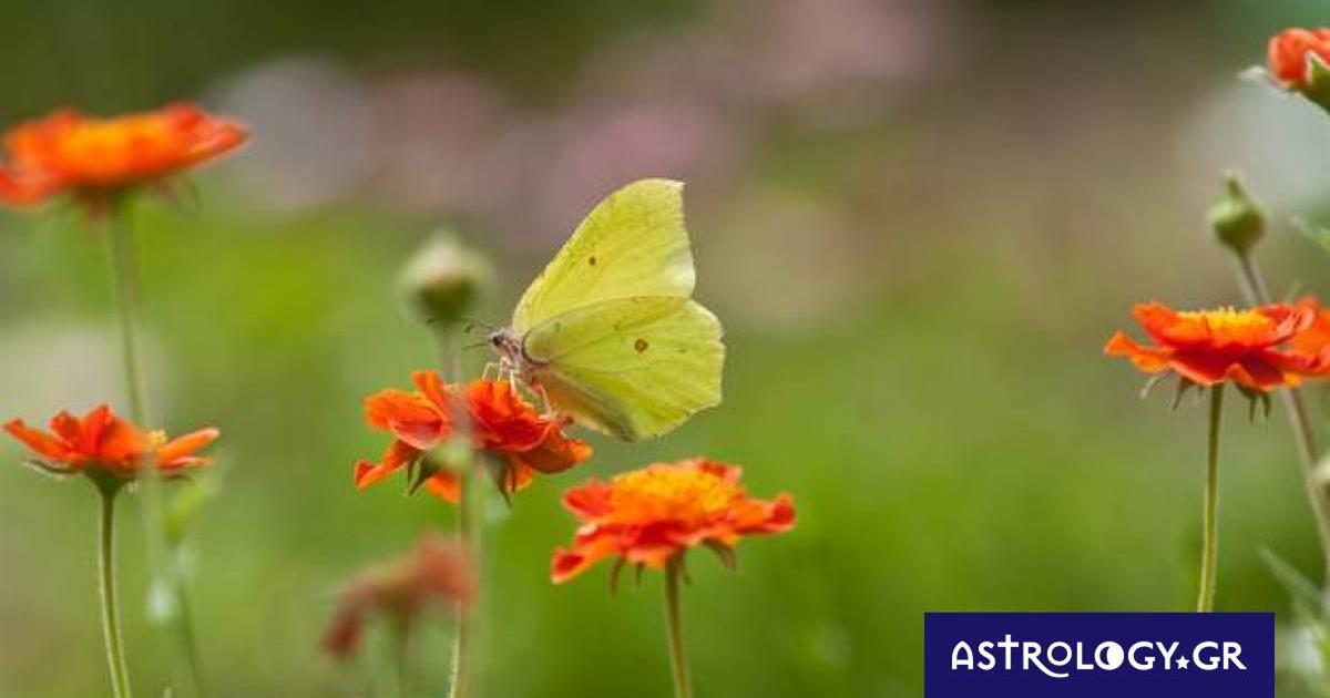 Διάβασε ΔΩΡΕΑΝ την προσωπική σου πρόβλεψη, για σήμερα 03/03/2023