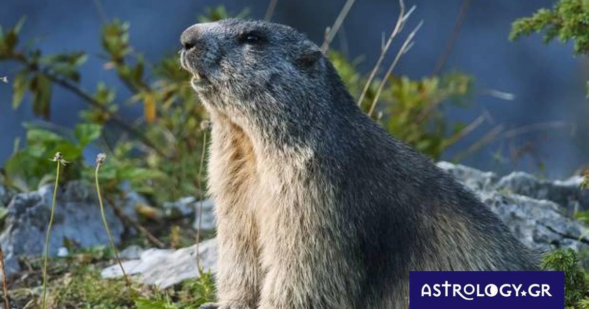 Διάβασε ΔΩΡΕΑΝ την προσωπική σου πρόβλεψη, για σήμερα 05/03/2023