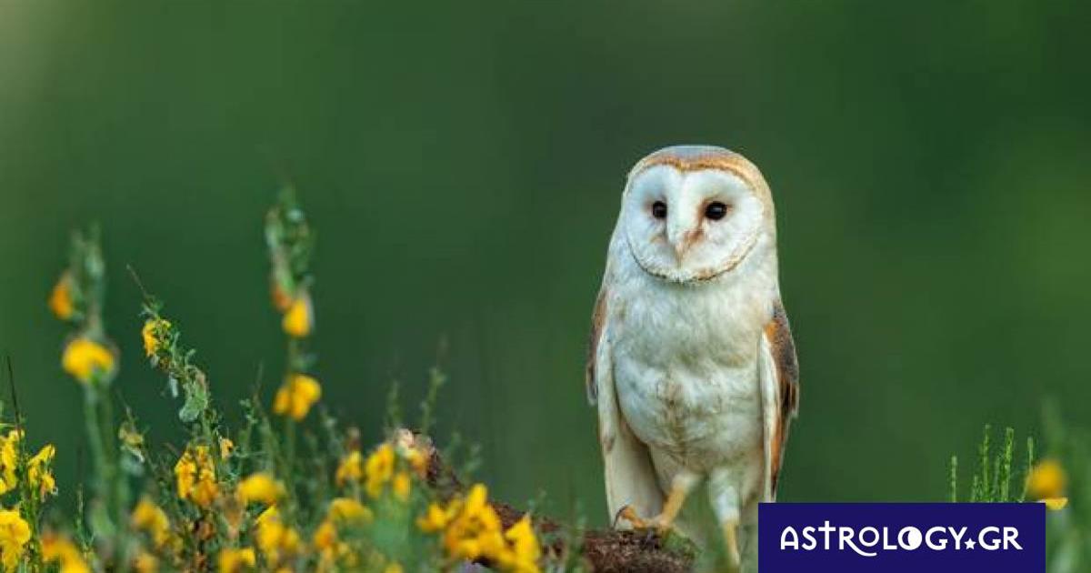 Διάβασε ΔΩΡΕΑΝ την προσωπική σου πρόβλεψη, για σήμερα 07/03/2023