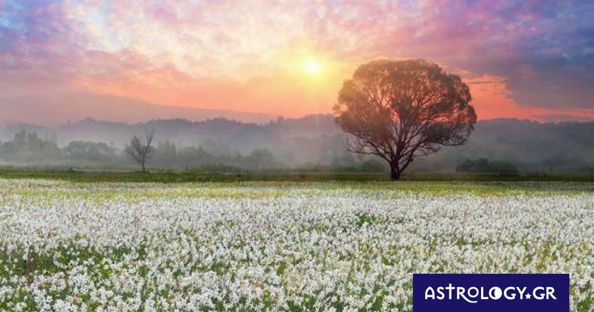 Διάβασε ΔΩΡΕΑΝ την προσωπική σου πρόβλεψη, για σήμερα 08/03/2023