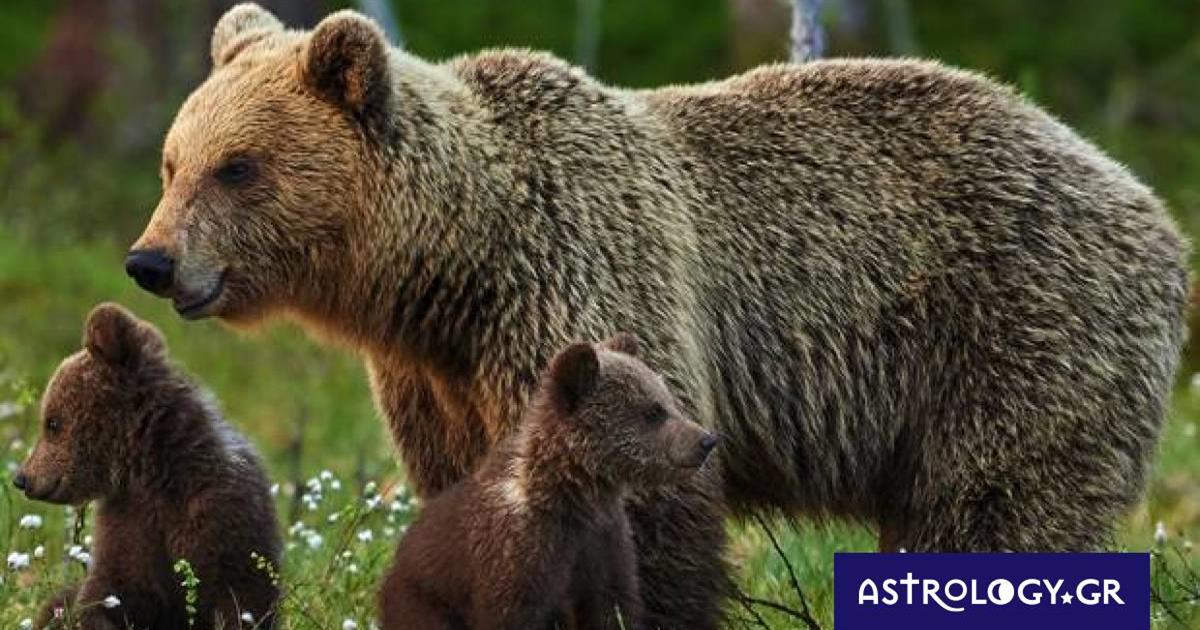 Διάβασε ΔΩΡΕΑΝ την προσωπική σου πρόβλεψη, για σήμερα 09/03/2023