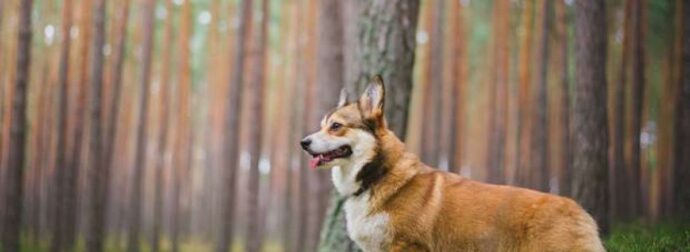 Διάβασε ΔΩΡΕΑΝ την προσωπική σου πρόβλεψη, για σήμερα 11/03/2023