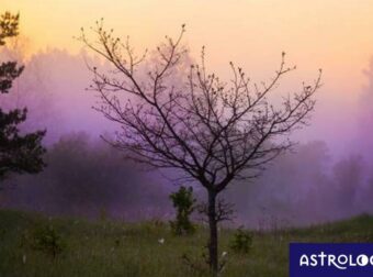 Διάβασε ΔΩΡΕΑΝ την προσωπική σου πρόβλεψη, για σήμερα 12/03/2023