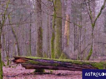Διάβασε ΔΩΡΕΑΝ την προσωπική σου πρόβλεψη, για σήμερα 14/03/2023