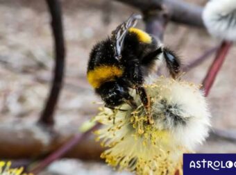 Διάβασε ΔΩΡΕΑΝ την προσωπική σου πρόβλεψη, για σήμερα 17/03/2023