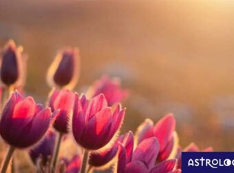 Διάβασε ΔΩΡΕΑΝ την προσωπική σου πρόβλεψη, για σήμερα 18/03/2023