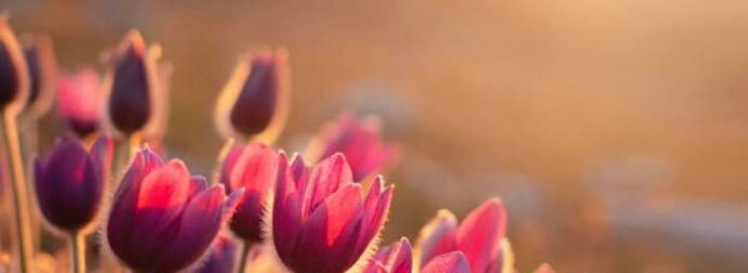 Διάβασε ΔΩΡΕΑΝ την προσωπική σου πρόβλεψη, για σήμερα 18/03/2023