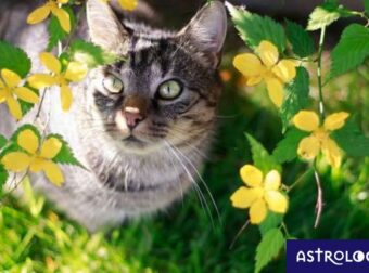 Διάβασε ΔΩΡΕΑΝ την προσωπική σου πρόβλεψη, για σήμερα 19/03/2023