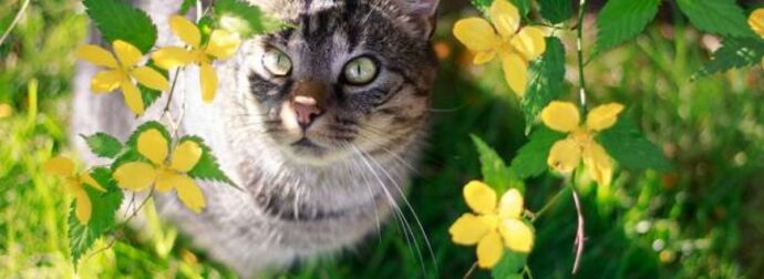 Διάβασε ΔΩΡΕΑΝ την προσωπική σου πρόβλεψη, για σήμερα 19/03/2023