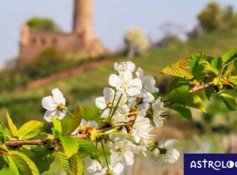 Διάβασε ΔΩΡΕΑΝ την προσωπική σου πρόβλεψη, για σήμερα 20/03/2023