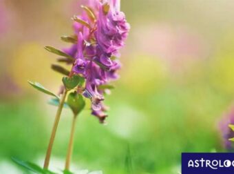 Διάβασε ΔΩΡΕΑΝ την προσωπική σου πρόβλεψη, για σήμερα 22/03/2023
