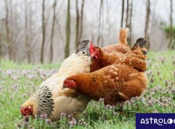 Διάβασε ΔΩΡΕΑΝ την προσωπική σου πρόβλεψη, για σήμερα 23/03/2023