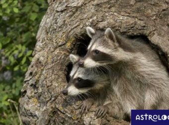 Διάβασε ΔΩΡΕΑΝ την προσωπική σου πρόβλεψη, για σήμερα 26/03/2023