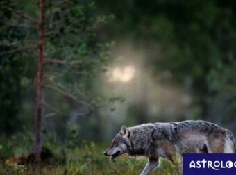 Διάβασε ΔΩΡΕΑΝ την προσωπική σου πρόβλεψη, για σήμερα 29/03/2023