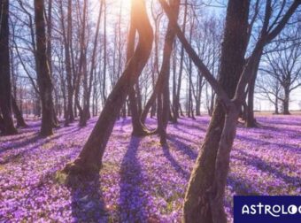 Διάβασε ΔΩΡΕΑΝ την προσωπική σου πρόβλεψη, για σήμερα 30/03/2023