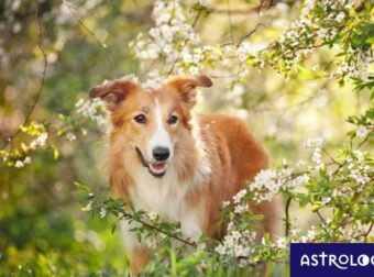 Διάβασε ΔΩΡΕΑΝ την προσωπική σου πρόβλεψη, για σήμερα 31/03/2023