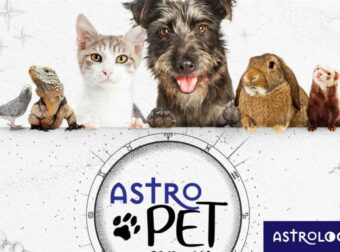 AstroPet από 26/03 έως 01/04: Εβδομαδιαίες προβλέψεις για το κατοικίδιό σου