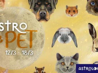 AstroPet από 12/03 έως 18/03: Εβδομαδιαίες προβλέψεις για το κατοικίδιό σου