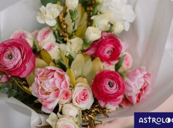 Ημερήσιες Προβλέψεις για όλα τα Ζώδια, 17/03