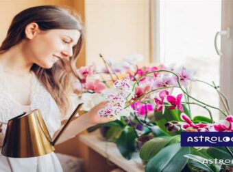 Ημερήσιες Προβλέψεις για όλα τα Ζώδια, 30/03: Στη βράση κολλάει το σίδερο