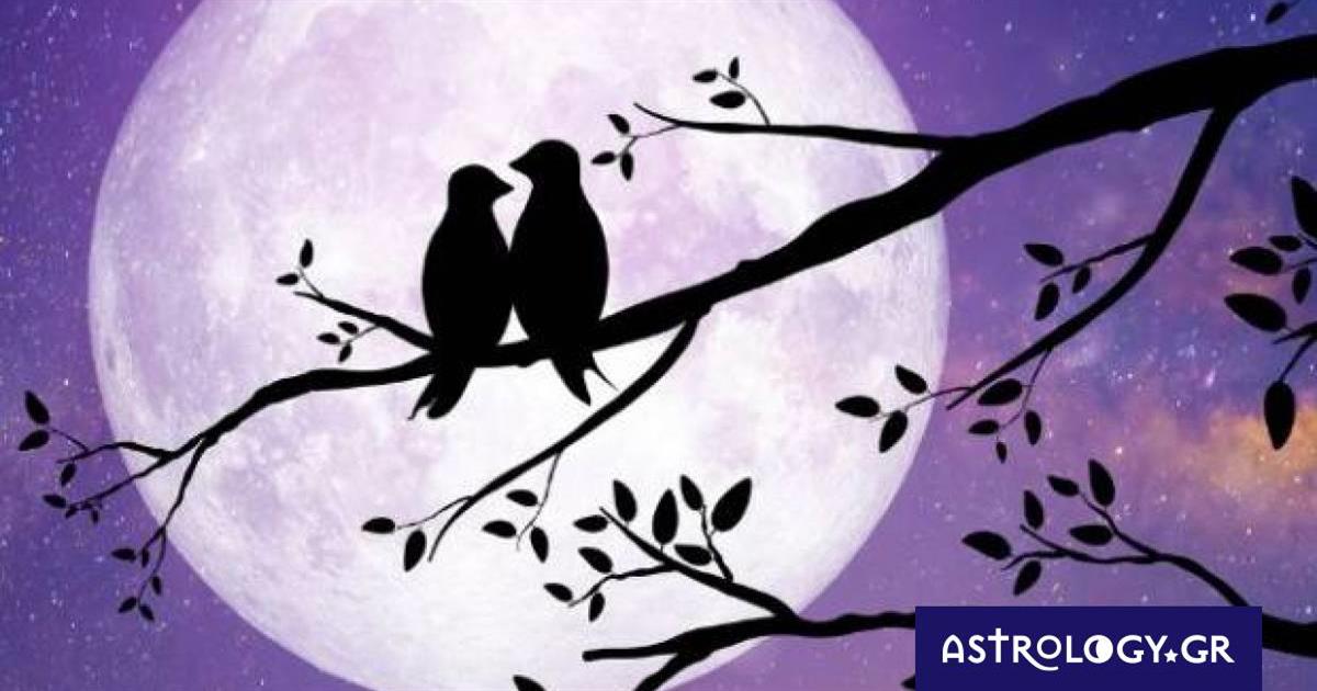 Δες τον δρόμο που σου δείχνει το Φεγγάρι από 01/03 έως 15/03