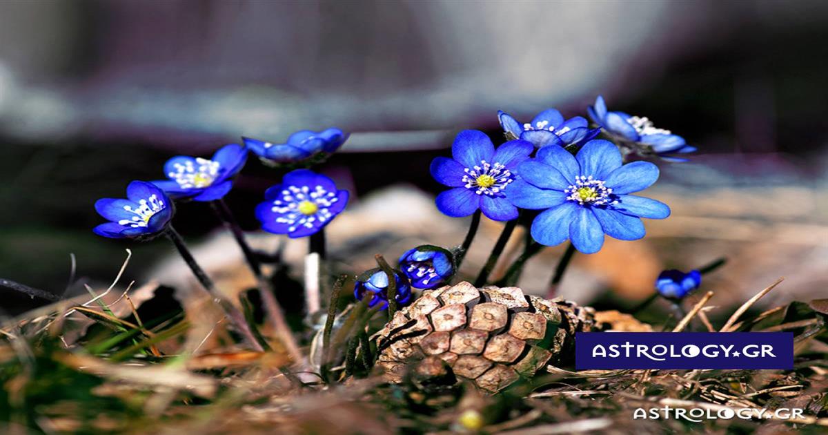 Μάρτιος 2023: Όλα όσα πρέπει να γνωρίζεις για τους πλανήτες και τα ζώδια