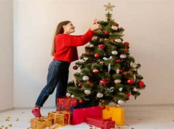 Τι ζώδιο ήταν αυτός που στόλισε το χριστουγεννιάτικο δέντρο;