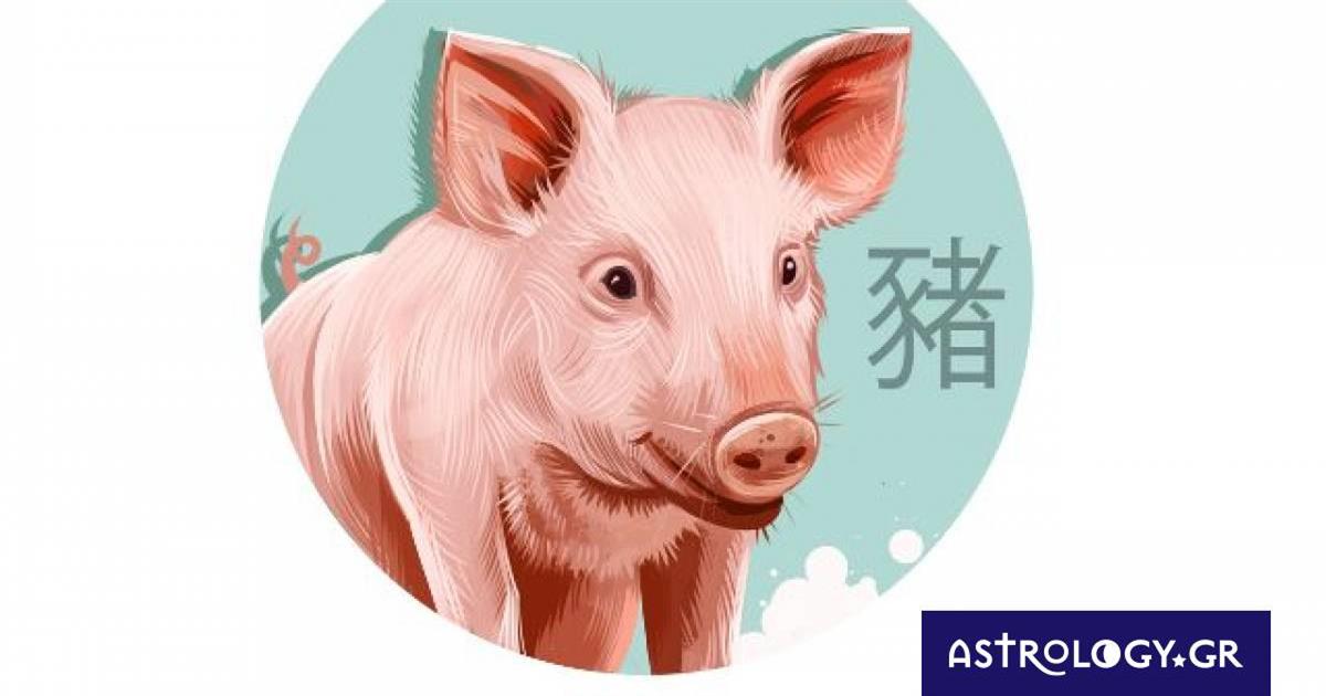 Κινέζικη Αστρολογία: Έτσι είναι ο Χοίρος στα αισθηματικά του