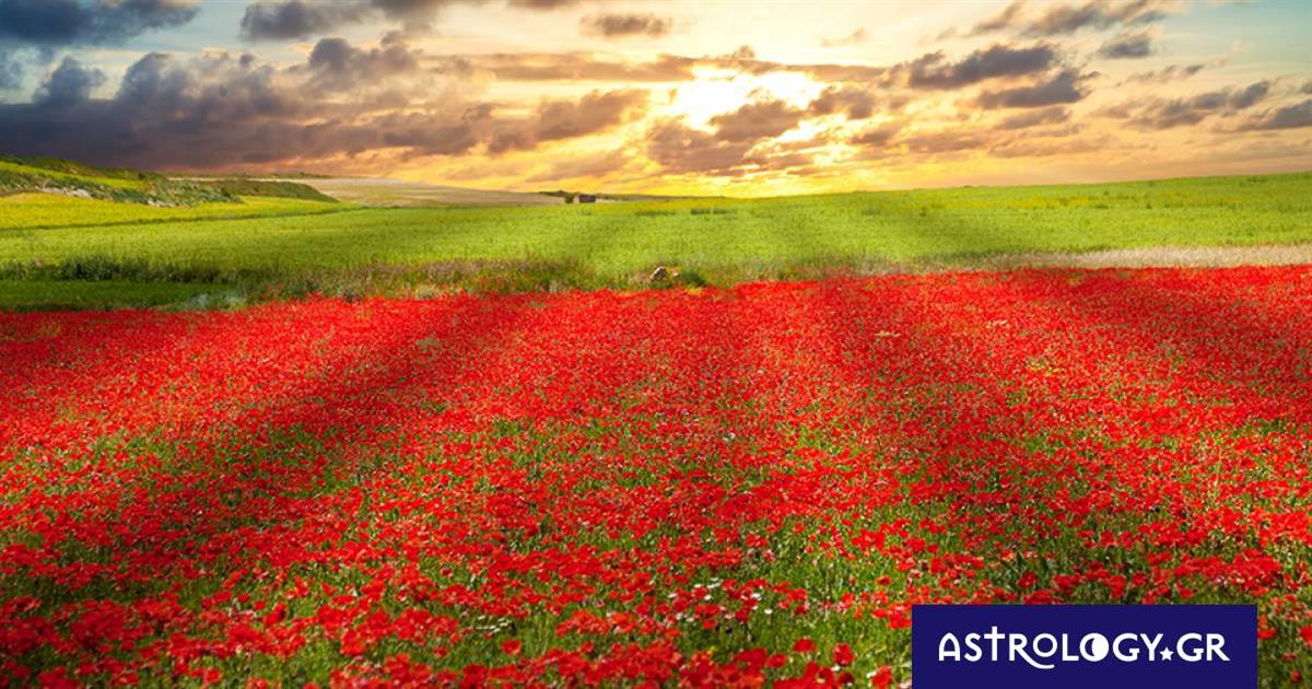 Διάβασε ΔΩΡΕΑΝ την προσωπική σου πρόβλεψη, για σήμερα 10/04/2023