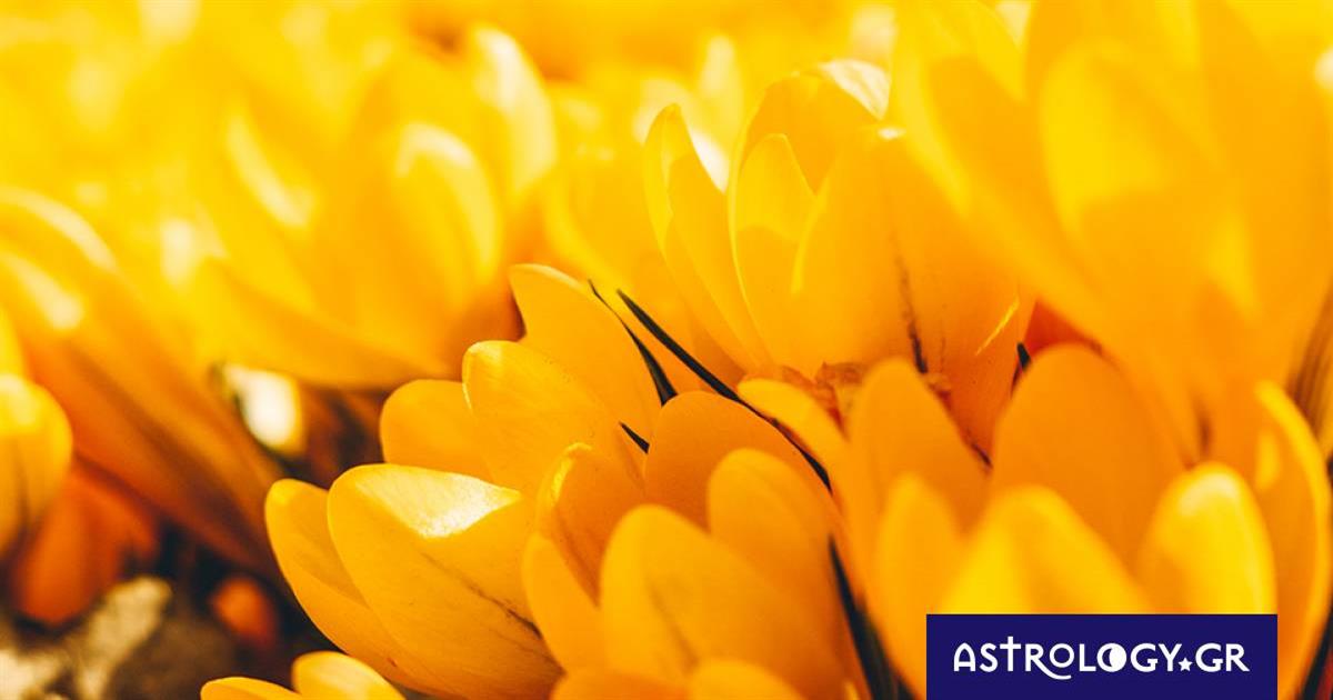 Διάβασε ΔΩΡΕΑΝ την προσωπική σου πρόβλεψη, για σήμερα 12/04/2023