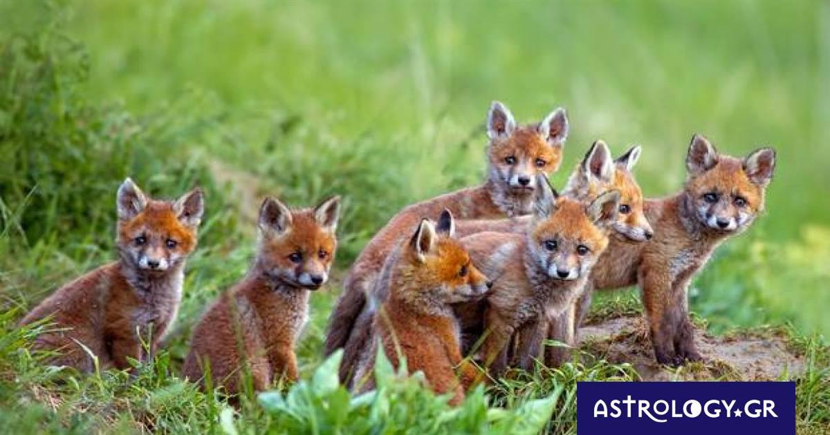 Διάβασε ΔΩΡΕΑΝ την προσωπική σου πρόβλεψη, για σήμερα 19/04/2023