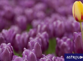 Διάβασε ΔΩΡΕΑΝ την προσωπική σου πρόβλεψη, για σήμερα 02/04/2023