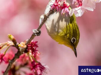 Διάβασε ΔΩΡΕΑΝ την προσωπική σου πρόβλεψη, για σήμερα 03/04/2023