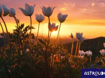 Διάβασε ΔΩΡΕΑΝ την προσωπική σου πρόβλεψη, για σήμερα 04/04/2023