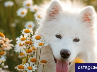 Διάβασε ΔΩΡΕΑΝ την προσωπική σου πρόβλεψη, για σήμερα 05/04/2023