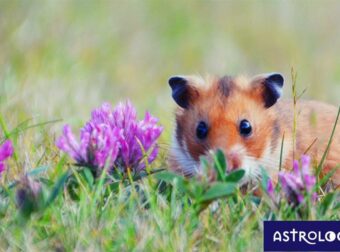Διάβασε ΔΩΡΕΑΝ την προσωπική σου πρόβλεψη, για σήμερα 07/04/2023