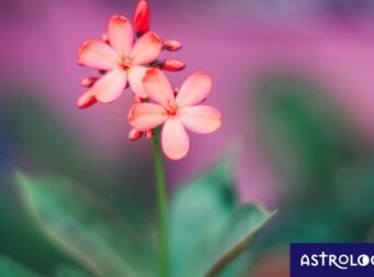 Διάβασε ΔΩΡΕΑΝ την προσωπική σου πρόβλεψη, για σήμερα 08/04/2023