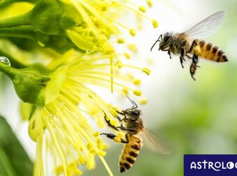 Διάβασε ΔΩΡΕΑΝ την προσωπική σου πρόβλεψη, για σήμερα 09/04/2023