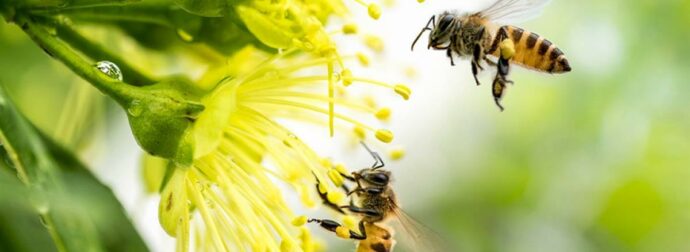 Διάβασε ΔΩΡΕΑΝ την προσωπική σου πρόβλεψη, για σήμερα 09/04/2023