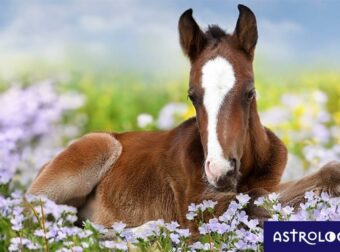 Διάβασε ΔΩΡΕΑΝ την προσωπική σου πρόβλεψη, για σήμερα 13/04/2023