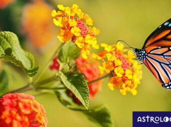 Διάβασε ΔΩΡΕΑΝ την προσωπική σου πρόβλεψη, για σήμερα 15/04/2023