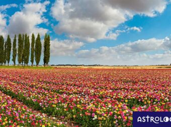 Διάβασε ΔΩΡΕΑΝ την προσωπική σου πρόβλεψη, για σήμερα 16/04/2023