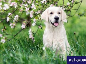 Διάβασε ΔΩΡΕΑΝ την προσωπική σου πρόβλεψη, για σήμερα 17/04/2023